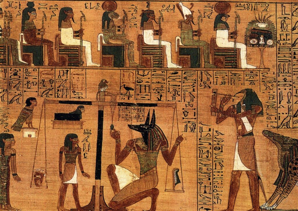 August 8: International Cat Day, a celebration for our feline companions | 6 | Gato