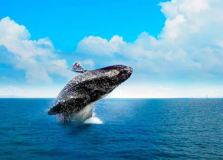 ¿Conoces tu país? Haz turismo en República Dominicana - Noticias de hoy en República Dominicana | De Último Minuto