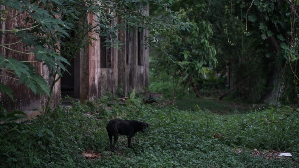 Two monuments, one history: Trujillo's architectural legacy in San Cristóbal | 2 | Two monuments, one history: Trujillo's architectural legacy in San Cristóbal | De Último Minuto English