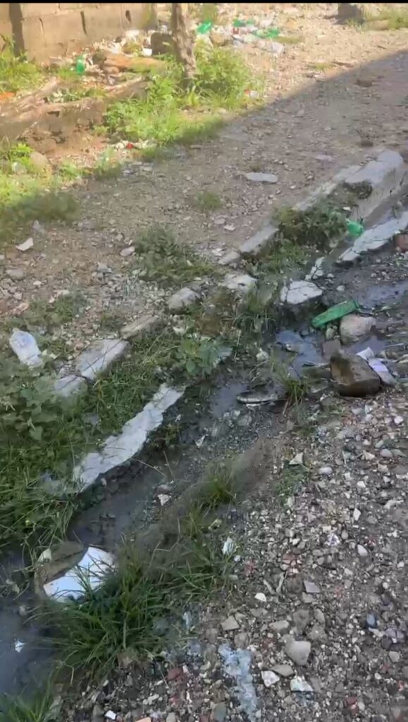 Deterioration in streets and sidewalks reported in Los Frailes I | De Último Minuto English