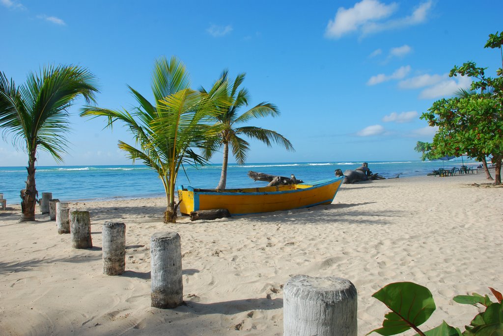 San Pedro de Macorís: Cradle of passion, culture, and Dominican pride | 4 | San Pedro de Macorís: Cradle of passion, culture, and Dominican pride | De Último Minuto English