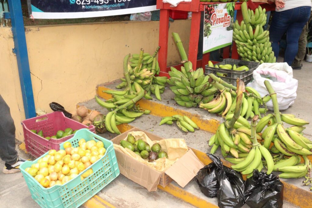 Hundreds of people gather at the 2025 Agricultural and Ecotourism Fair in Azua | De Último Minuto English