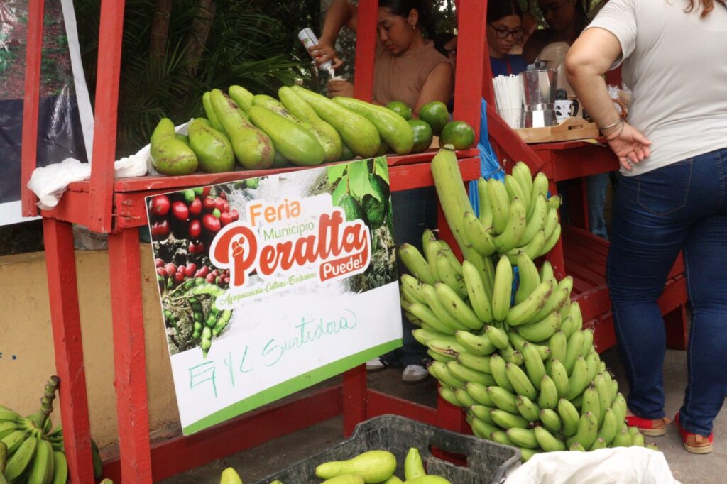 Hundreds of people gather at the 2025 Agricultural and Ecotourism Fair in Azua | De Último Minuto English