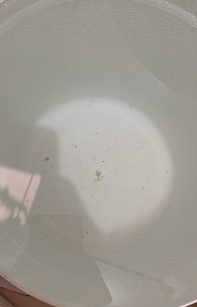 Residents at the Juan Rafael Residential complex report contaminated water | De Último Minuto English