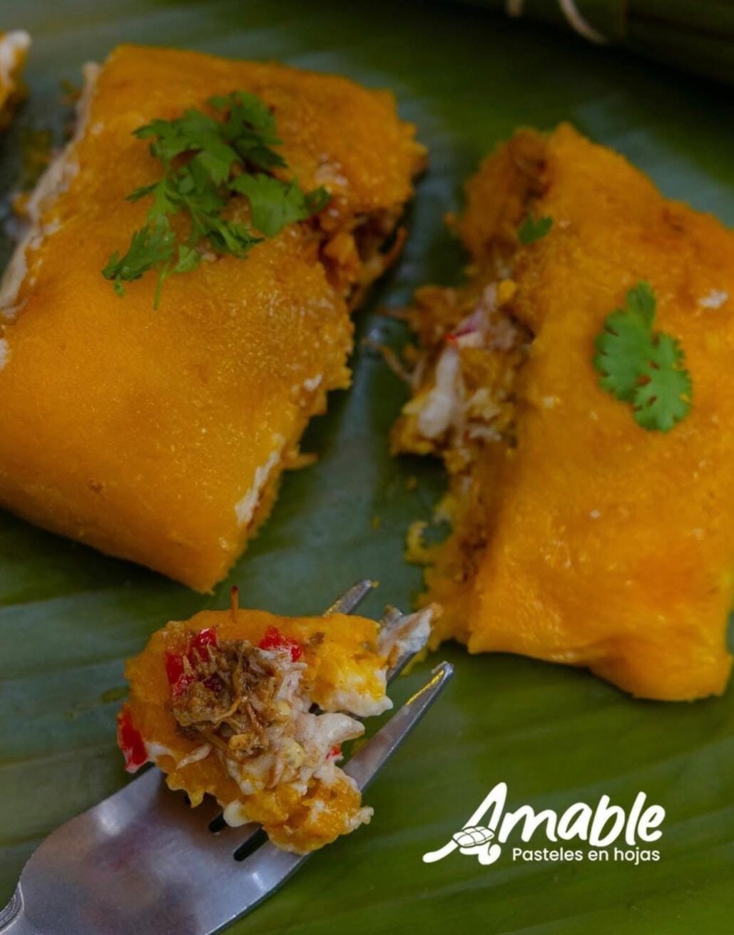 San Pedro de Macorís: Cradle of passion, culture, and Dominican pride | 11 | San Pedro de Macorís: Cradle of passion, culture, and Dominican pride | De Último Minuto English