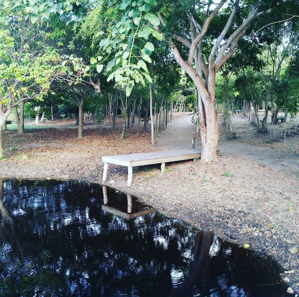 San Pedro de Macorís: Cradle of passion, culture, and Dominican pride | 8 | San Pedro de Macorís: Cradle of passion, culture, and Dominican pride | De Último Minuto English