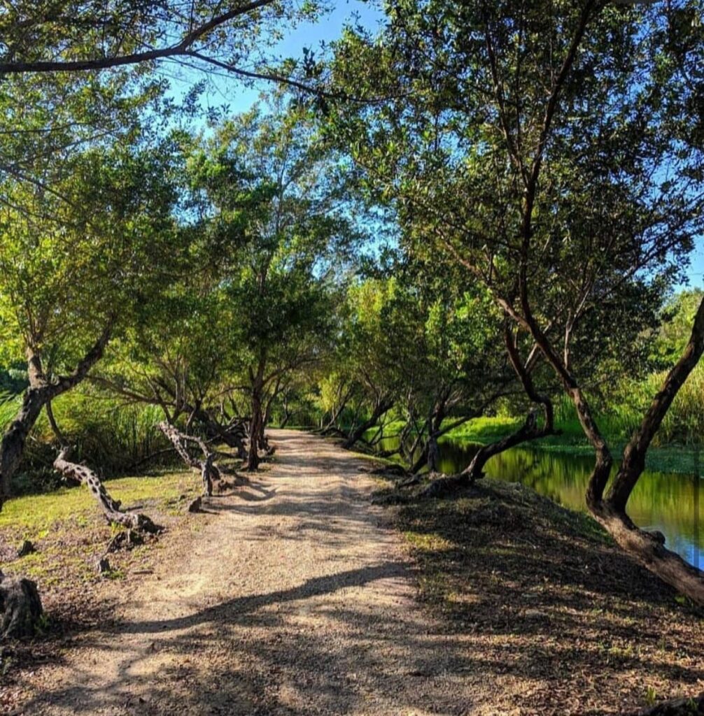 San Pedro de Macorís: Cradle of passion, culture, and Dominican pride | 9 | San Pedro de Macorís: Cradle of passion, culture, and Dominican pride | De Último Minuto English