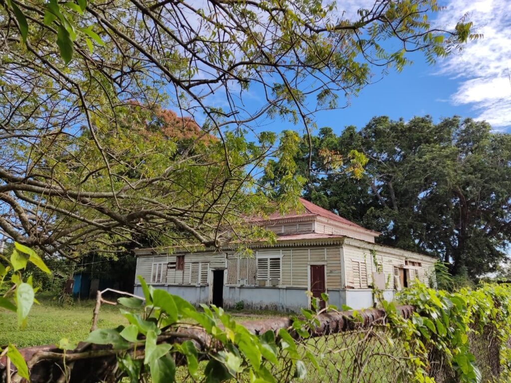 San Pedro de Macorís: Cradle of passion, culture, and Dominican pride | 16 | San Pedro de Macorís: Cradle of passion, culture, and Dominican pride | De Último Minuto English