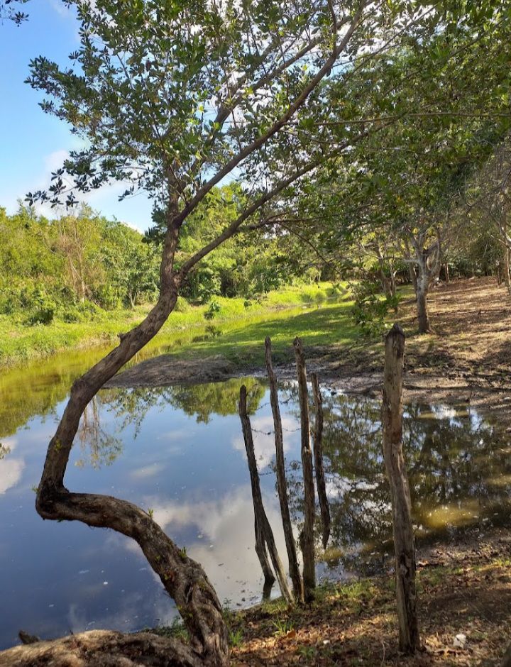 San Pedro de Macorís: Cradle of passion, culture, and Dominican pride | 10 | San Pedro de Macorís: Cradle of passion, culture, and Dominican pride | De Último Minuto English