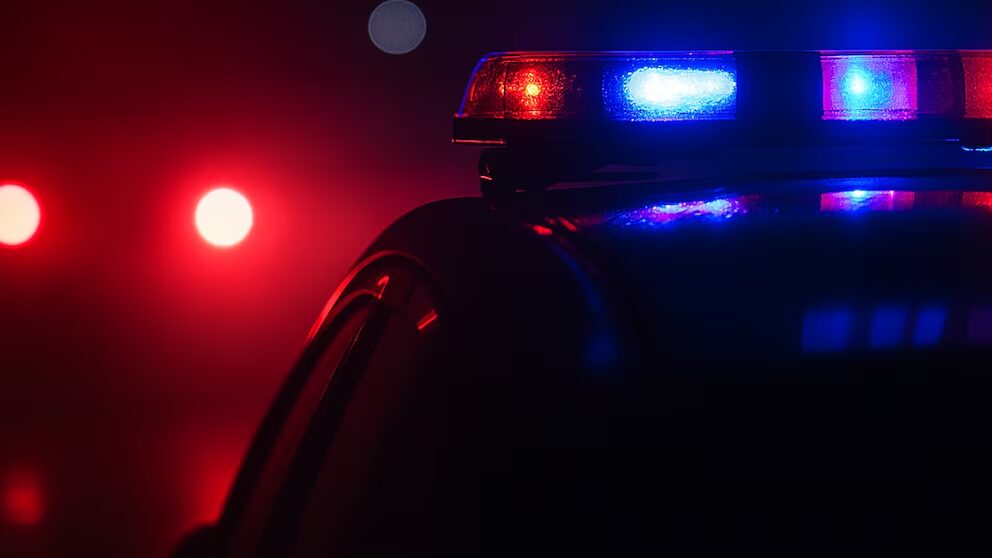 Una mujer de 65 años murió tras ser apuñalada por un hombre en una tienda Barnes & Noble de Florida - Noticias de hoy en República Dominicana | De Último Minuto