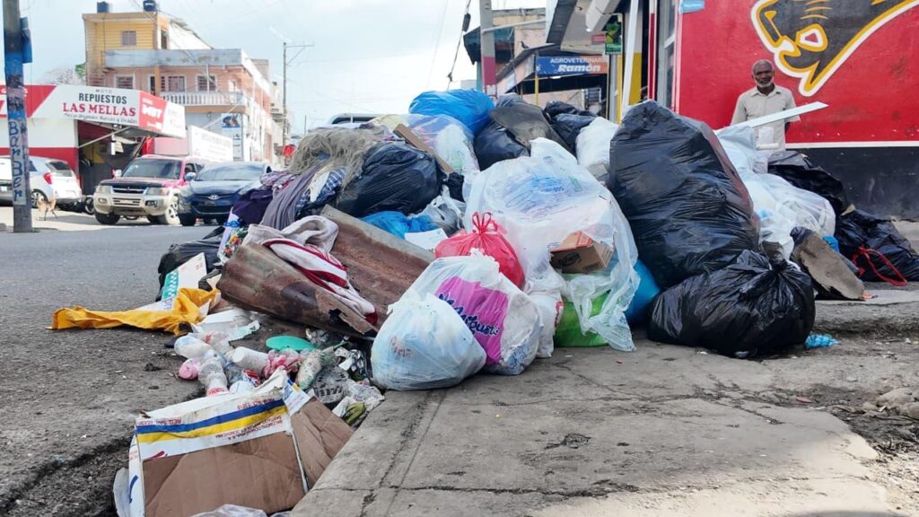 In SDE, they demand regularity in garbage collection and solutions to improvised landfills | De Último Minuto English