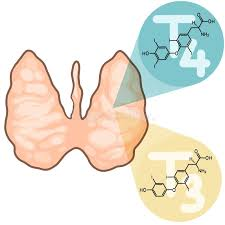 Es falso que aplicar perfume en el cuello altere la tiroides o las hormonas - Noticias de hoy en República Dominicana | De Último Minuto