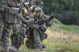Macron announces joint military exercises with Denmark in Greenland | De Último Minuto English
