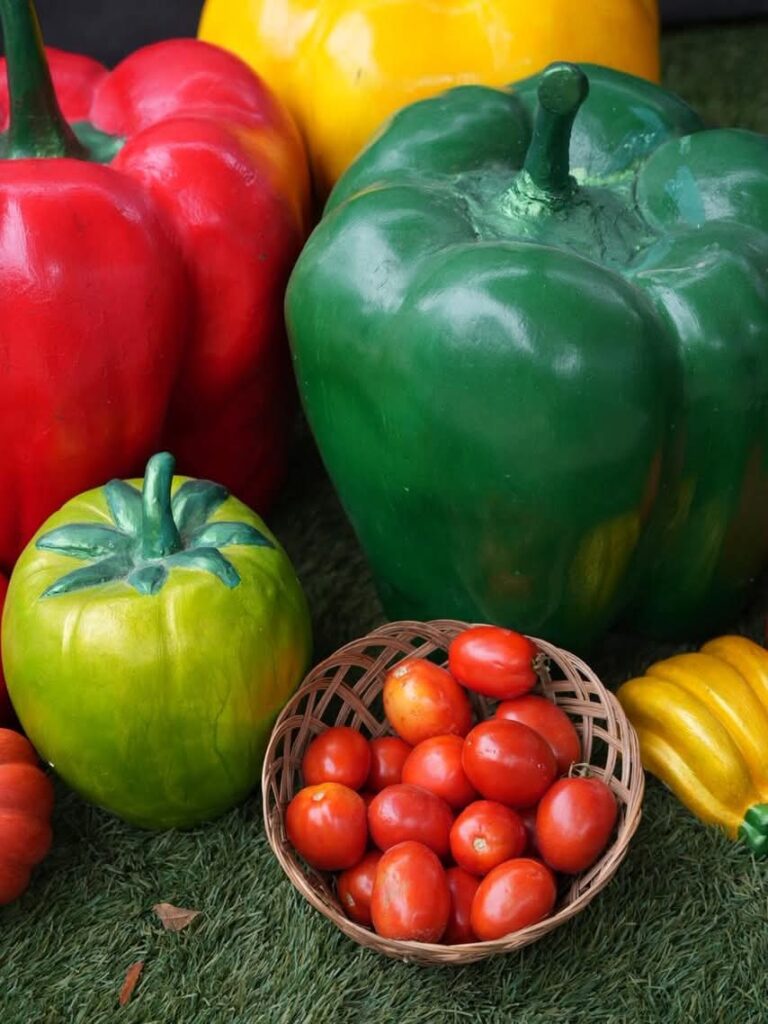 Ministro de Industria y Comercio respalda a mipymes en la Feria del Tomate en Azua | 2 | Ministro de Industria y Comercio respalda a mipymes en la Feria del Tomate en Azua - Noticias de hoy en República Dominicana | De Último Minuto