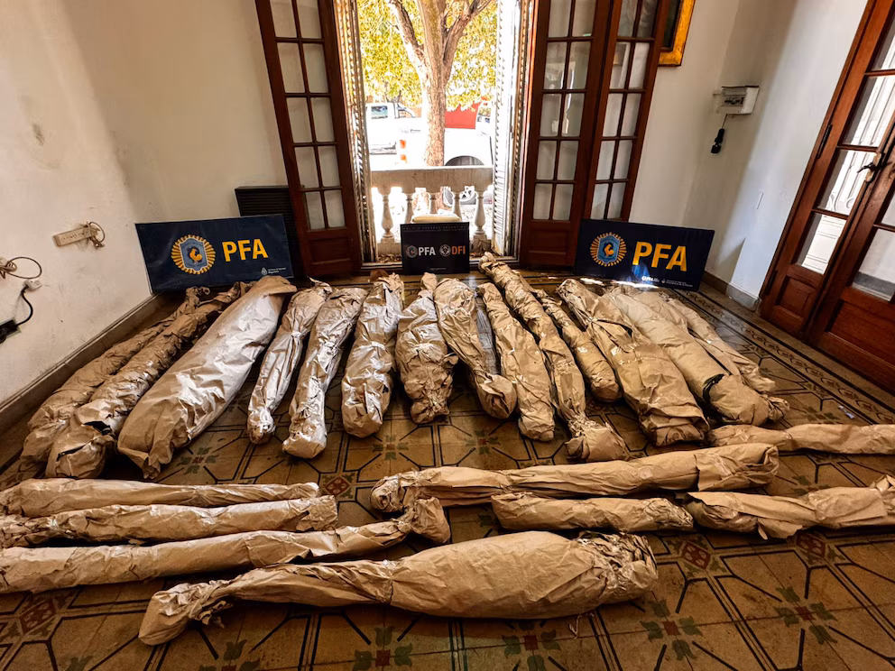 Macabro hallazgo en Argentina: un cultivador de marihuana escondía una colección de cráneos humanos - Noticias de hoy en República Dominicana | De Último Minuto