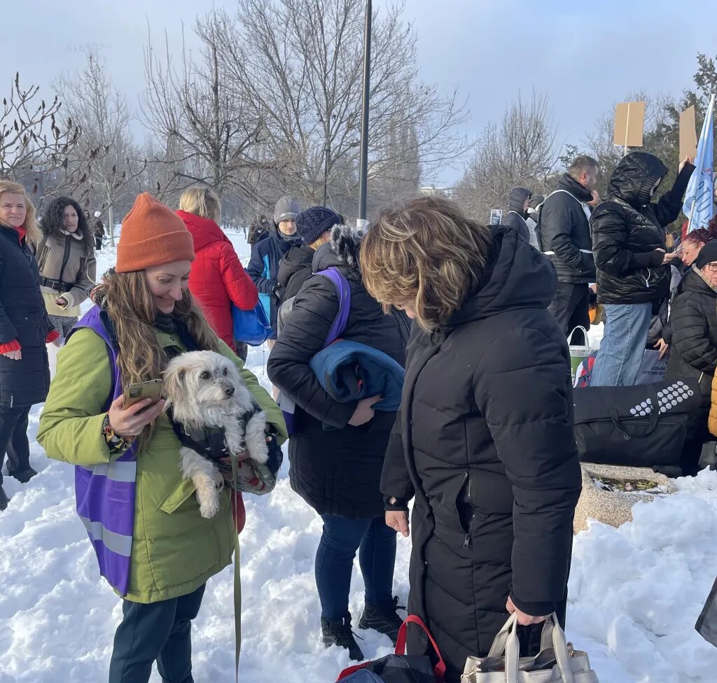 Un escándalo por 15.000 perros sacrificados desvela la crueldad en las perreras en Rumanía - Noticias de hoy en República Dominicana | De Último Minuto