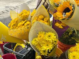 Flores amarillas, el detalle que todos esperan el 21 de marzo - Noticias de hoy en República Dominicana | De Último Minuto