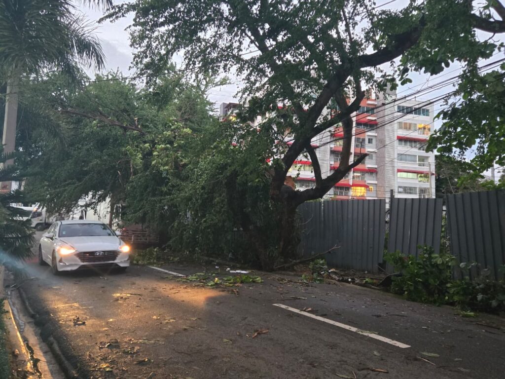 Collapsed walls, affected vehicles and sidewalks with branches: the balance of the strong wind in the National District | De Último Minuto English