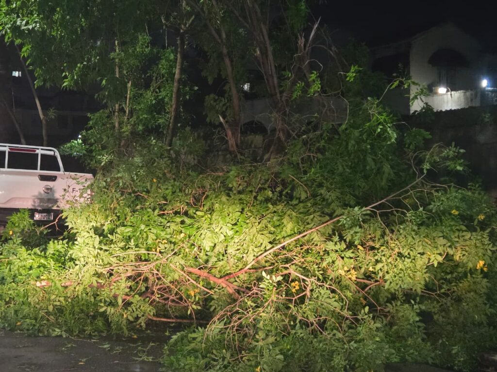 Collapsed walls, affected vehicles and sidewalks with branches: the balance of the strong wind in the National District | De Último Minuto English
