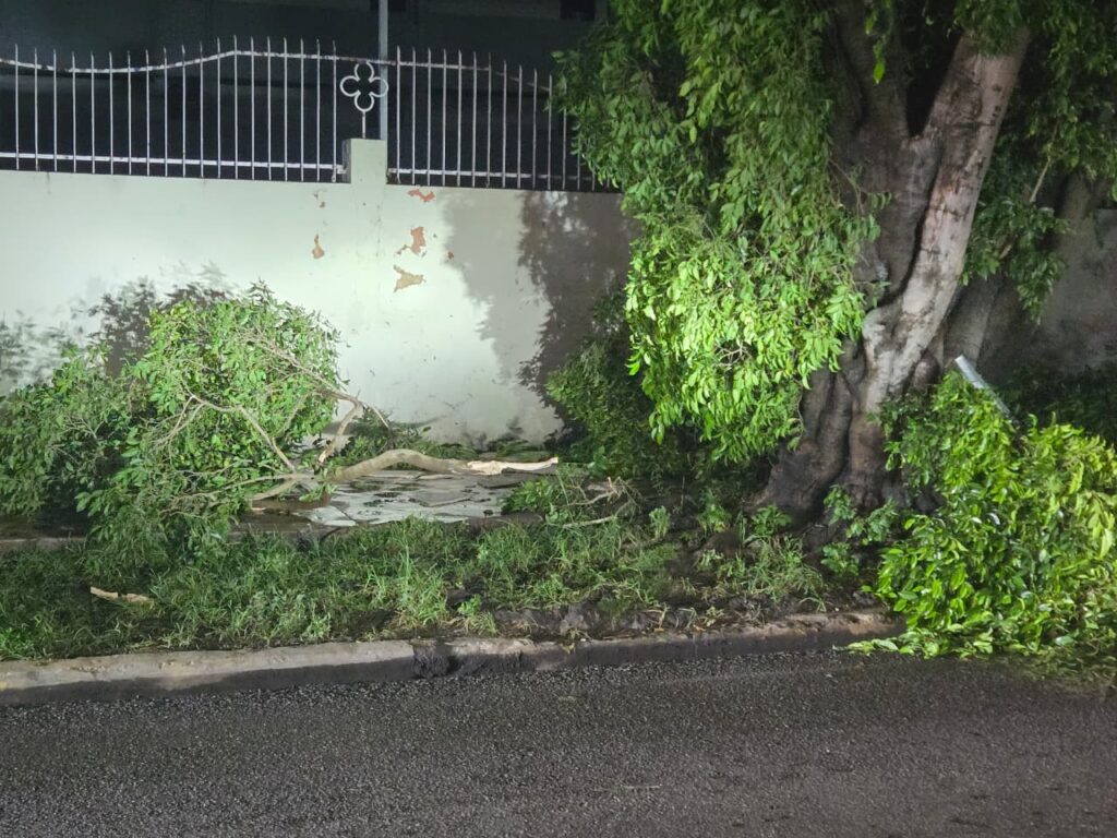 Collapsed walls, affected vehicles and sidewalks with branches: the balance of the strong wind in the National District | De Último Minuto English