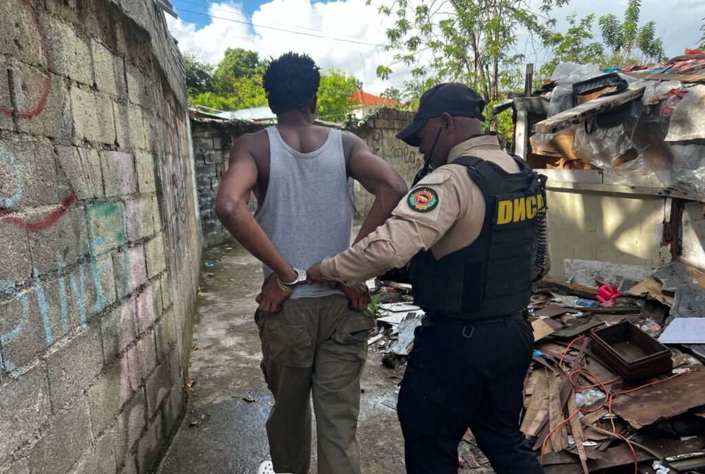 DNCD seizes more than 783 thousand grams of drugs and 31 weapons in April | De Último Minuto English