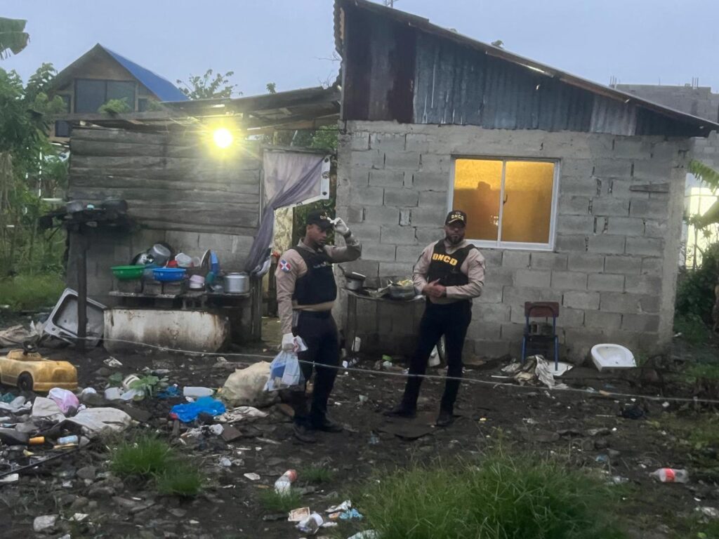 DNCD seizes more than 783 thousand grams of drugs and 31 weapons in April | De Último Minuto English