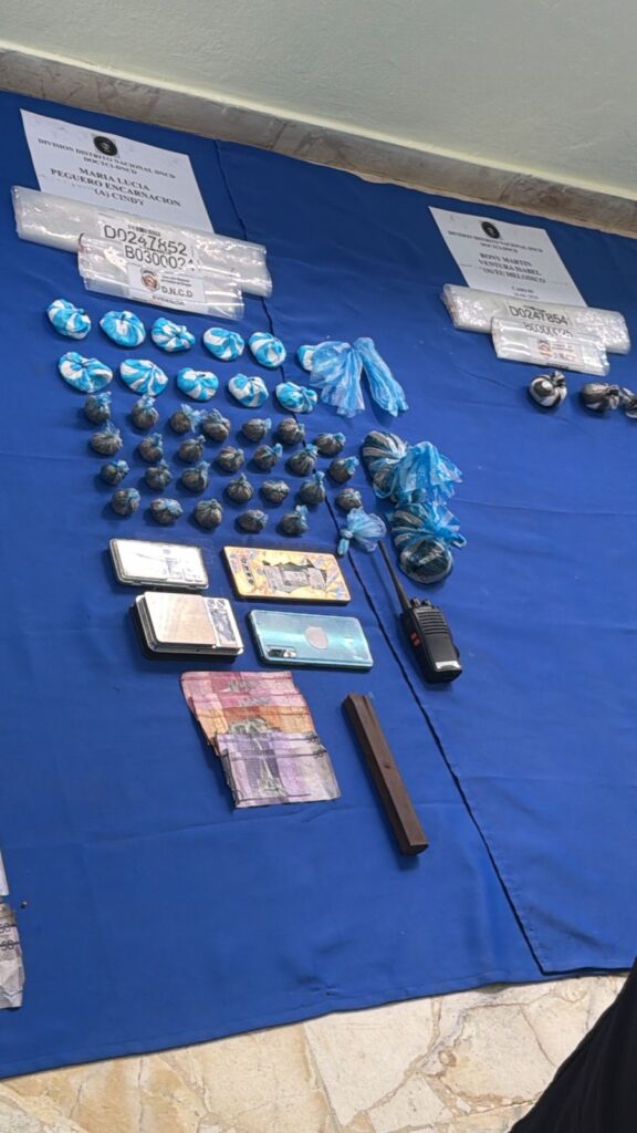 DNCD seizes more than 783 thousand grams of drugs and 31 weapons in April | De Último Minuto English