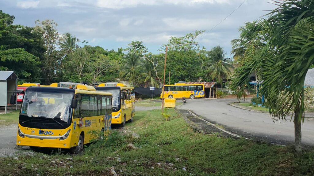 They denounce "graveyard" of school buses from the TRAE program in Samaná. | De Último Minuto English